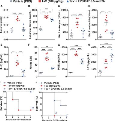 EP80317 Restrains Inflammation and Mortality Caused by Scorpion Envenomation in Mice